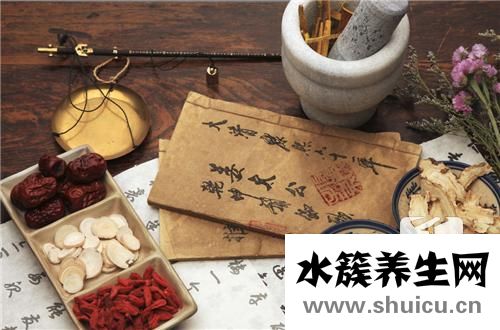 香樟叶