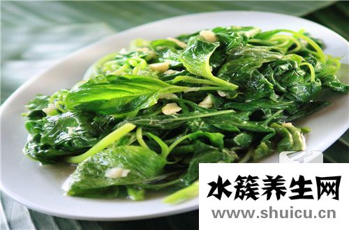菠菜的营养价值