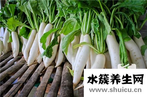 萝卜炖牛肉的做法