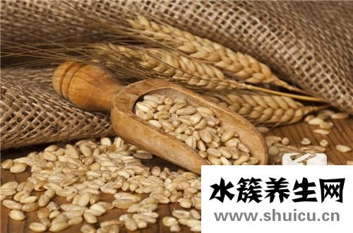 薏米是什么