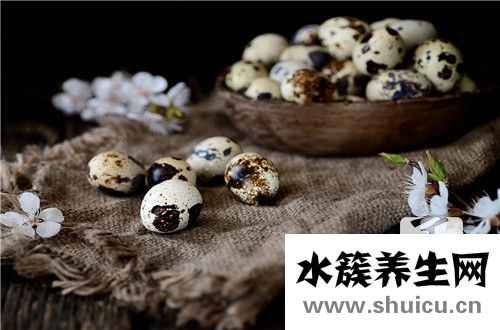 鹌鹑蛋的营养价值