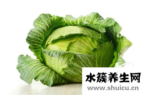 圆白菜的做法