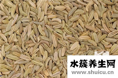 刺五加籽的功效与作用