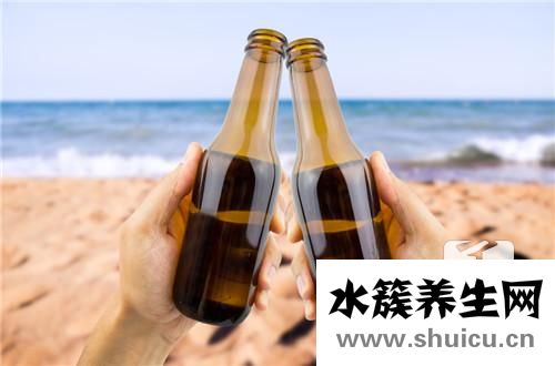 海马泡酒