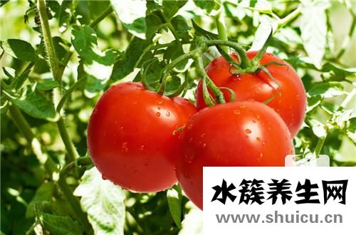 免疫力低