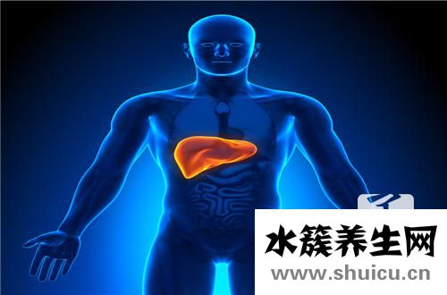 丙氨酸氨基转移酶偏高