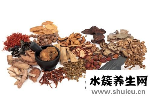灵芝的作用