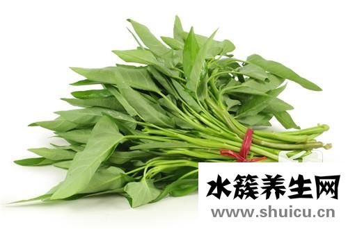 苦苦菜