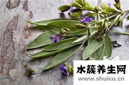泻叶