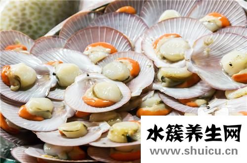 干贝是什么