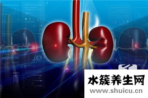 肾母细胞瘤
