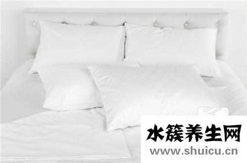 决明子枕头
