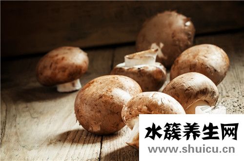 松茸菌
