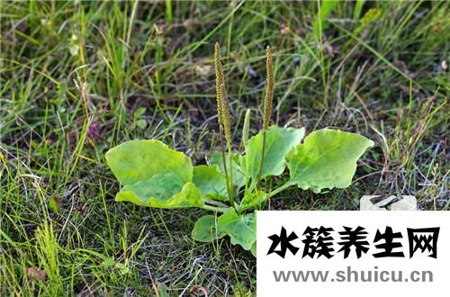 小腹坠痛是怎么回事