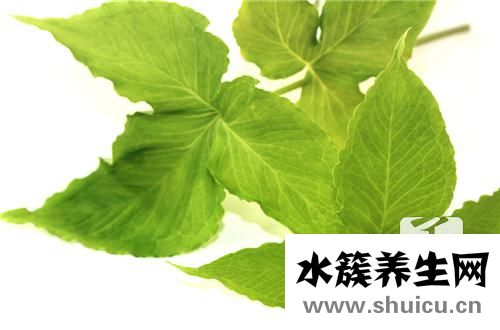 半夏白术天麻汤