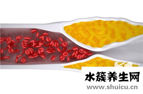 直接胆红素偏高的原因