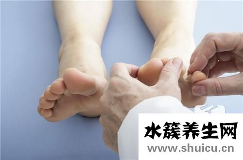 腓肠肌