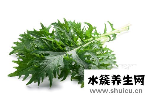 什么人不能吃救心菜，救心菜营养价值