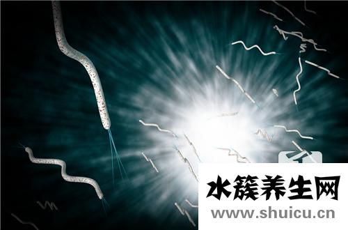 结核杆菌