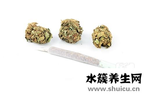 槐米的功效与作用