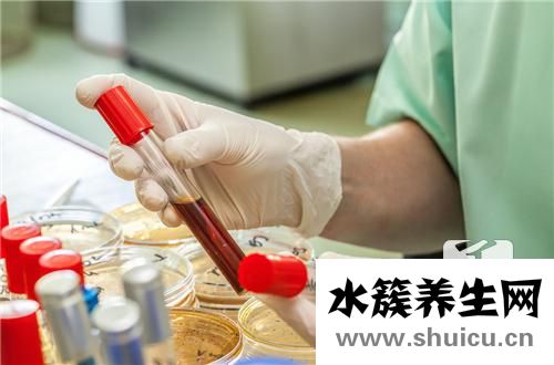 出血热是什么病