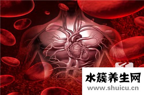 出血热是什么病