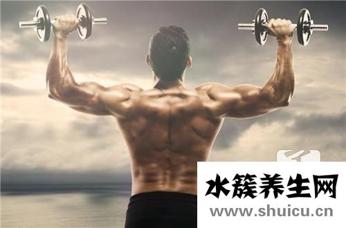 手臂