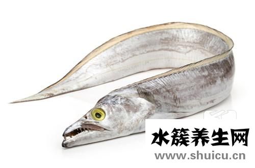 带鱼怎么做好吃