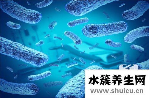 沙门氏菌