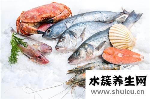 海鲜种类