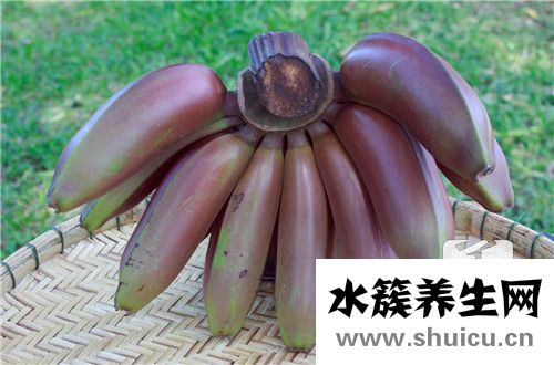香蕉减肥法
