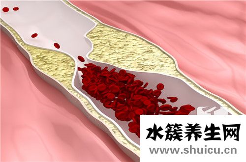 o型血
