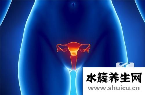 子宫内膜粘连