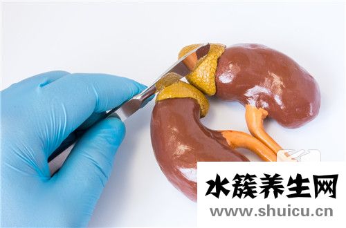 母细胞瘤是随父还是母