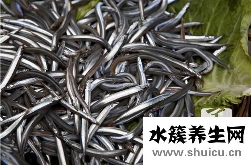 泥鳅需要去内脏吗