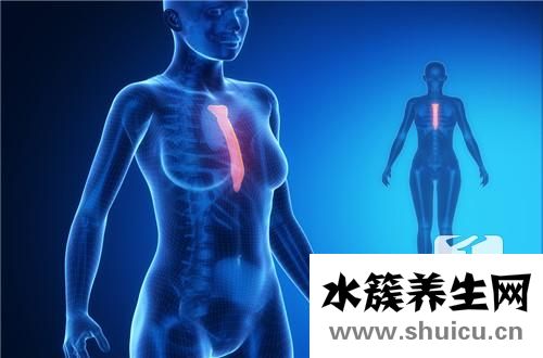 胸部x线检查