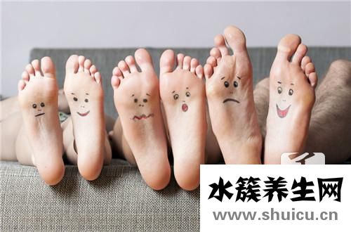 脚底对应的器官图