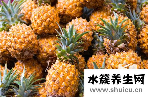 凤梨属于热性还是凉性？