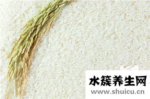 煲仔饭酱汁