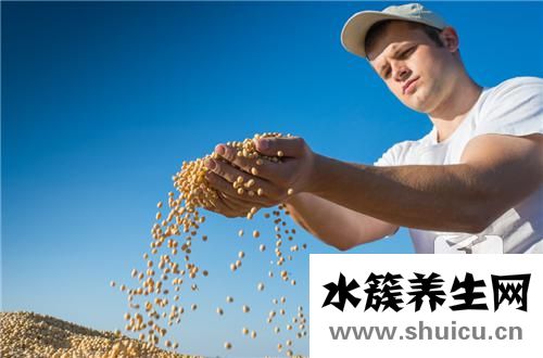 黄豆肥料注意的事项