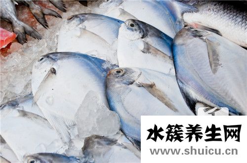 墨鱼仔的做法跟处理方法有哪些？
