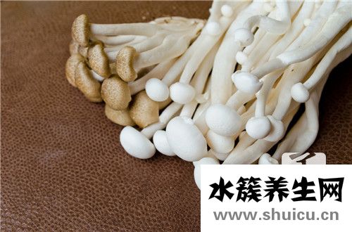 蟹味菇为什么要焯水