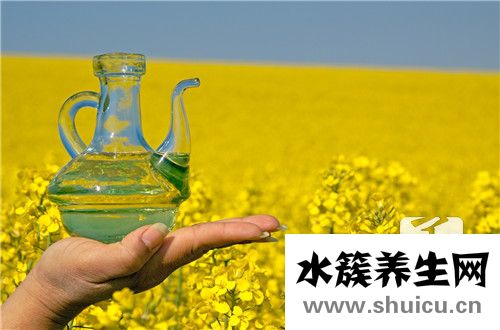 菜籽油三级好还是四级好
