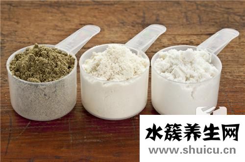 蛋白质是什么
