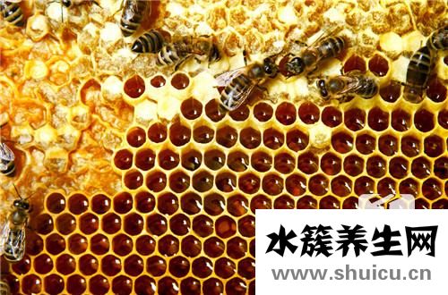 蜂王浆的好处