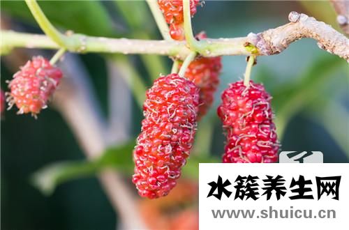 桑堪