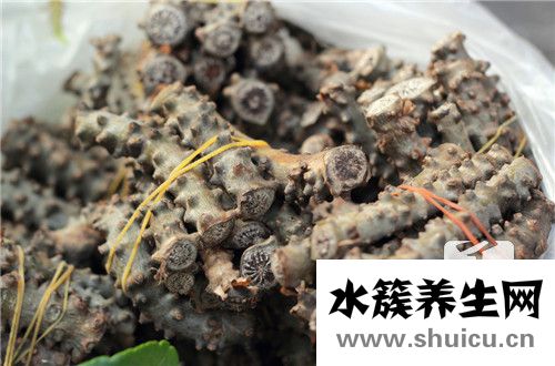 苦荞米怎么吃