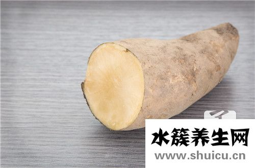 高山雪莲