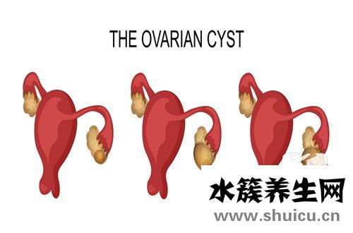 子宫内膜偏薄怎么办
