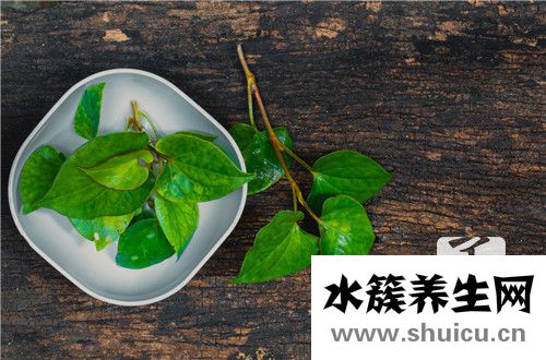 一夏枯草